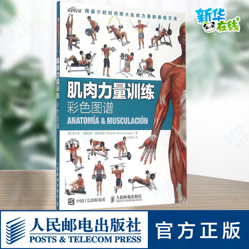 新华书店正版 体育