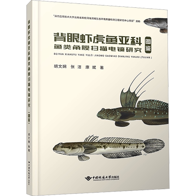 背眼虾虎鱼亚科鱼类角膜扫描电镜研究 图鉴 胡文娴,张洁,康斌 著 动物专业科技 新华书店正版图书籍