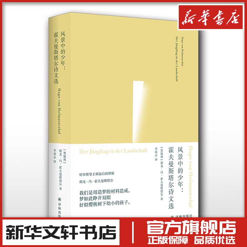 风景中的少年:霍夫曼斯塔尔诗文选 (奥)胡戈·冯·霍夫曼斯塔尔 著