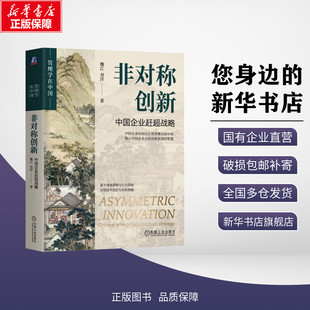 【新华文轩】非对称创新 中国企业赶超战略 魏江,刘洋 著 战略管理经管、励志 新华书店正版图书籍 机械工业出版社