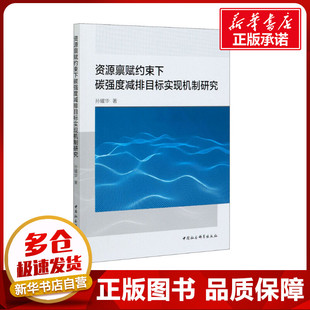 资源禀赋约束下碳强度减排目标实现机制研究 孙耀华 著 经济理论经管、励志 新华书店正版图书籍 中国社会科学出版社