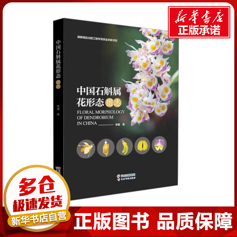 中国石斛属花形态图志 李璐 著 林业专业科技 新华书店正版图书籍 云南科技出版社