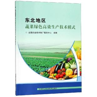 王娟娟 中国农业科学技术出版 李衍素 社 著 养殖专业科技 畜牧 东北地区蔬菜绿色高效生产技术模式 图书籍 新华书店正版 李莉