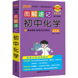 图解速记初中化学 全彩版 2024 牛胜玉 编 中学教辅文教 新华书店正版图书籍 湖南师范大学出版社