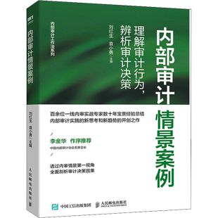 内部审计情景案例 理解审计行为,辨析审计决策 刘红生,袁小勇 编 统计 审计经管、励志 新华书店正版图书籍 人民邮电出版社