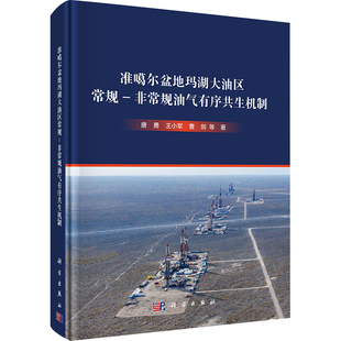 准噶尔盆地玛湖大油区常规-非常规油气有序共生机制 唐勇 等 著 地理学/自然地理学专业科技 新华书店正版图书籍 科学出版社