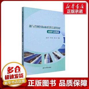 油气管网国际标准化培训教材 应用与实践篇 吴志平等 著 石油 天然气工业专业科技 新华书店正版图书籍 石油工业出版社