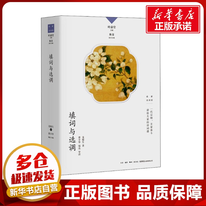 新华书店正版 古典文学理论