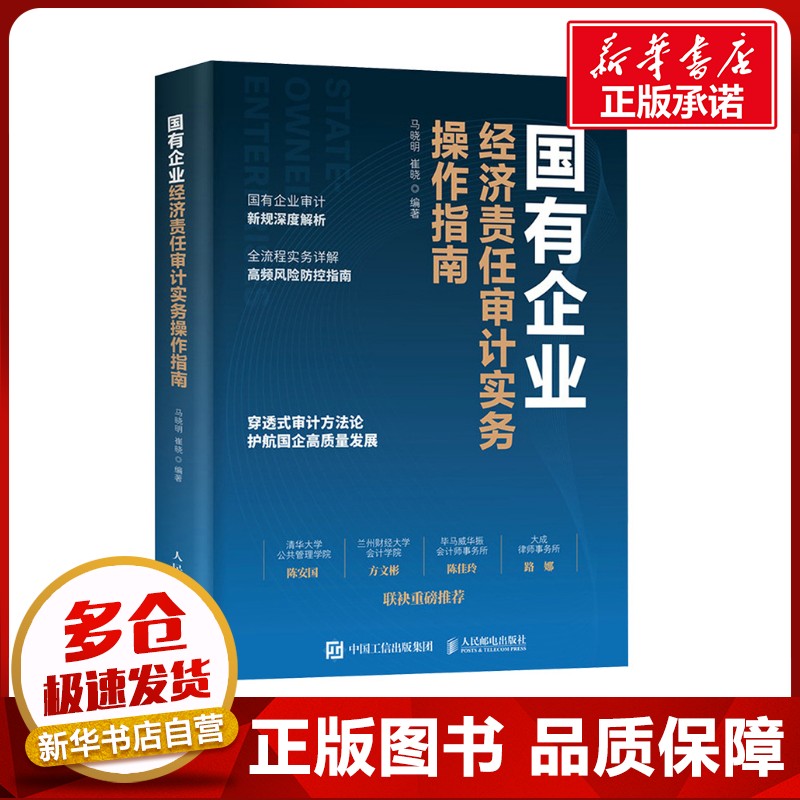 新华书店正版 审计