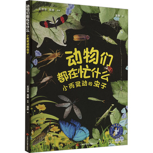 动物们都在忙什么 小而灵动的虫子 王德华,禹娜 编 科普百科少儿 新华书店正版图书籍 上海科学技术出版社