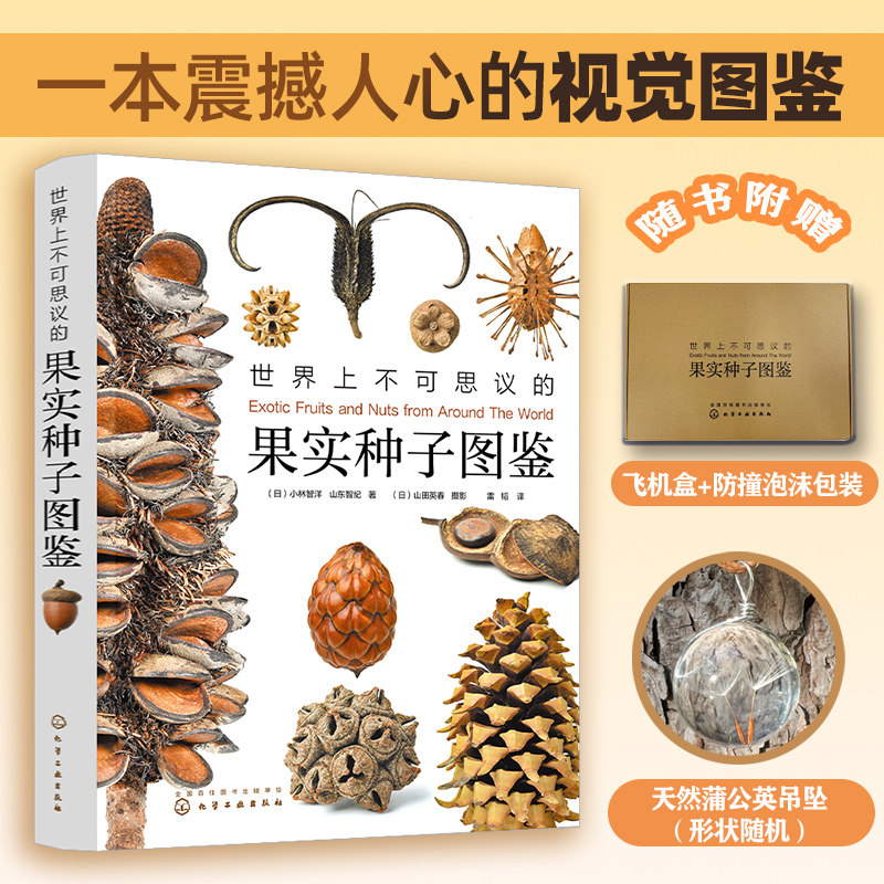 世界上不可思议的果实种子图鉴赠蒲公英项链300张高精细果实图片青少年课外阅读自然科普书籍画报级亚光铜版纸精装 小林智洋著