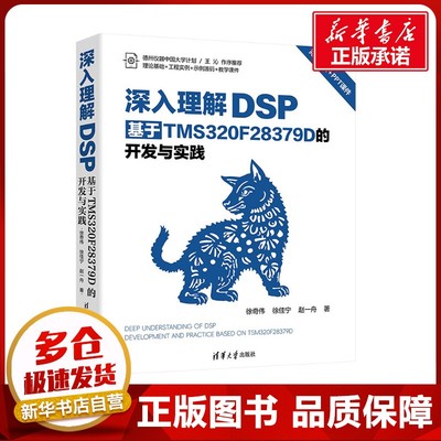 深入理解DSP 基于TMS320F28379D的开发与实践 徐奇伟,徐佳宁,赵一舟 著 程序设计（新）专业科技 新华书店正版图书籍
