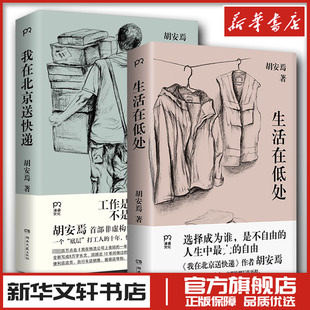 我在北京送快递+生活在低处 胡安焉文集两册 中国近代随笔文学 新华文轩书店旗舰店官网正版图书书籍畅销书 湖南文艺出版社