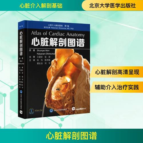 新华书店正版 外科