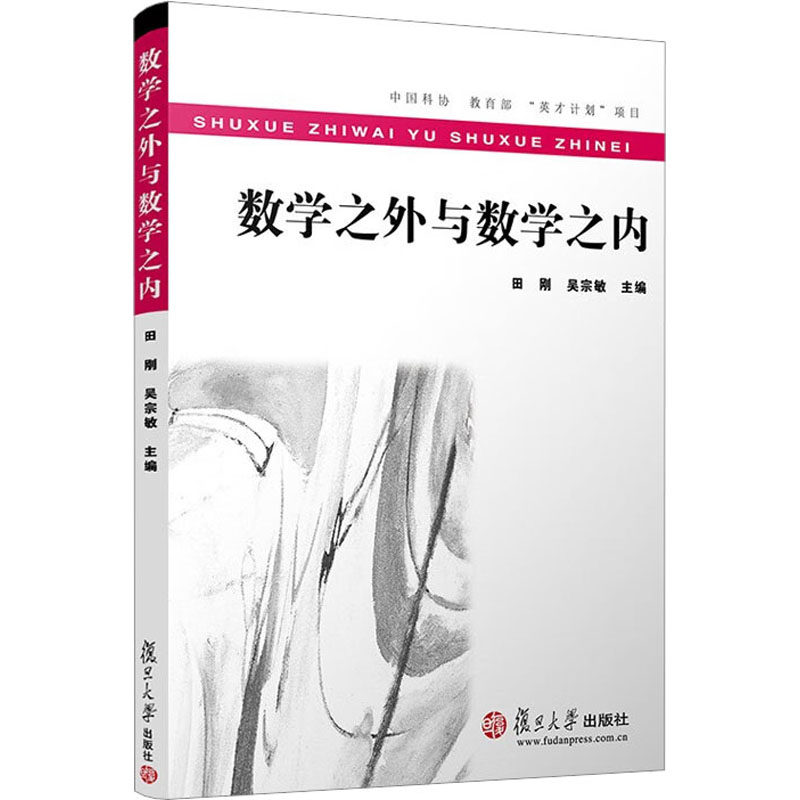 数学之外与数学之内 田刚,吴宗敏 编 育儿其他文教 新华书店正版图书籍 复旦大学出版社