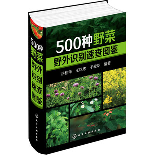 500种野菜野外识别速查图鉴 于爱华 王以忠 岳桂华 化学工业出版 生活 新华书店正版 编 图书籍 自由组合套装 社