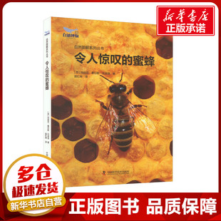 【精装】令人惊叹的蜜蜂 自然图解系列丛书 玛丽亚·桑切斯·瓦迪洛 生态的晴雨表 生物学 新华书店正版图书籍 中国科学技术出版社