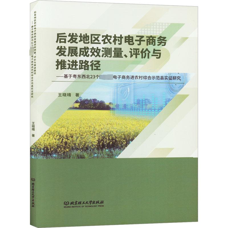后发地区农村电子商务发展成效测量、评价与推进路径——基于粤东西北23个国家级电子商 王晓晴 著 电子商务经管、励志