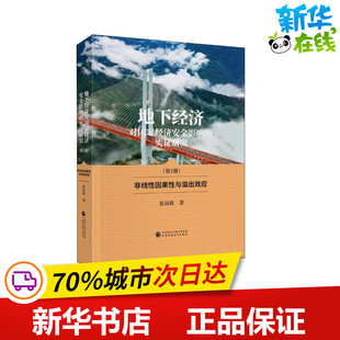 地下经济对国家经济安全影响的实证研究(第1册) 非线性因果性与溢出效应 夏南新 著 经济理论经管、励志 新华书店正版图书籍