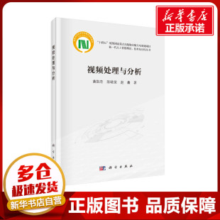 赵鑫 著 科学出版 黄凯奇 社 图书籍 陈晓棠 新华书店正版 视频处理与分析 计算机控制仿真与人工智能专业科技