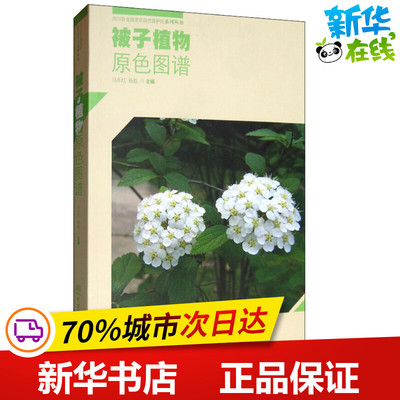 被子植物原色图谱 马永红,杨彪 编 植物专业科技 新华书店正版图书籍 中国林业出版社