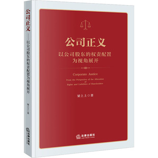公司正义 以公司股东的权责配置为视角展开 梁上上 著 法学理论社科 新华书店正版图书籍 法律出版社