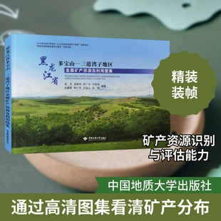 黑龙江省多宝山-三道湾子地区金属矿产资源及利用图集 邵军 等 编 各部门经济专业科技 新华书店正版图书籍 中国地质大学出版社