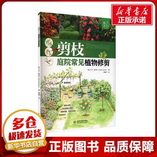 剪枝 庭院常见植物修剪 (英)大卫·斯夸尔 著 欧静巧 译 建筑/水利(新)专业科技 新华书店正版图书籍 中国水利水电出版社