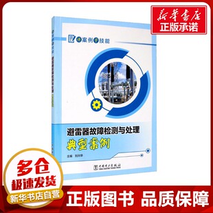 避雷器故障检测与分析典型案例 刘兴华 编 能源与动力工程专业科技 新华书店正版图书籍 中国电力出版社
