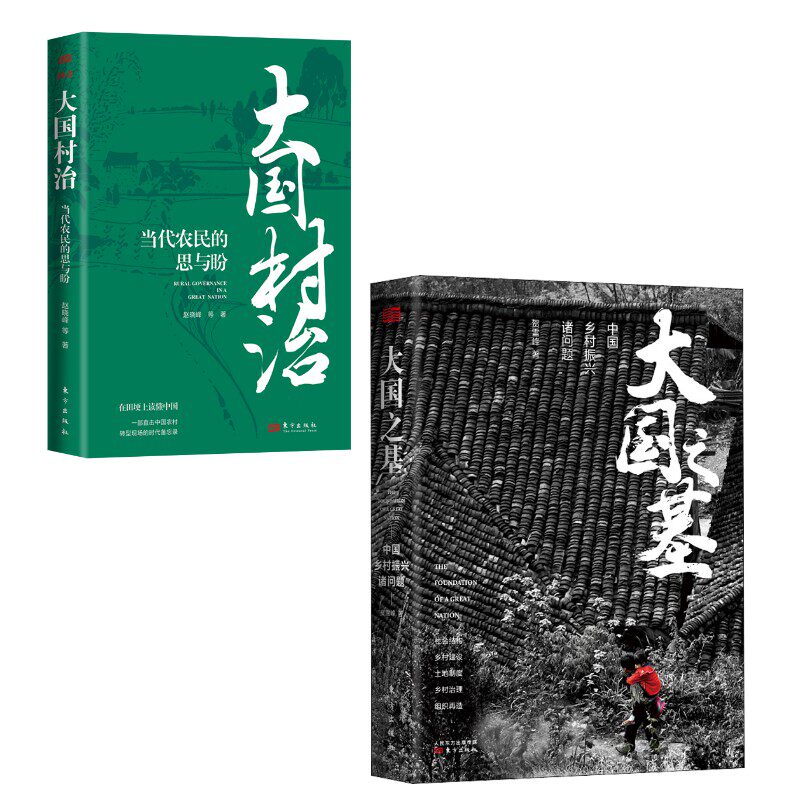 大国之基+大国村治 贺雪峰 著等 经济理论经管、励志 新华书店正版图书籍 东方出版社