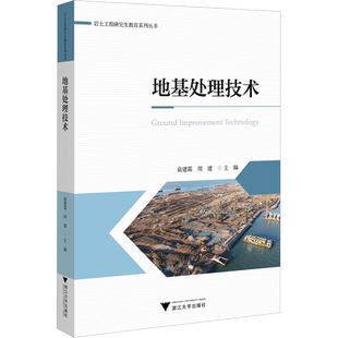 地基处理技术 俞建霖,周建 编 大学教材大中专 新华书店正版图书籍 浙江大学出版社