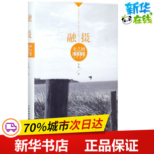 著作 中国近代随笔文学 新华书店正版 融摄·光之树1937 中国铁道出版 著 图书籍 社 宋逖