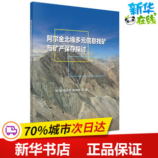 阿尔金北缘多元信息找矿与矿产保存探讨 孙岳 等 著 地理学/自然地理学专业科技 新华书店正版图书籍 科学出版社