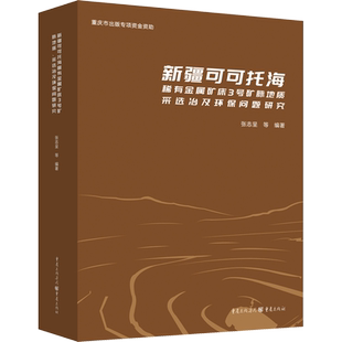 新疆可可托海稀有金属矿床3号矿脉地质、采选冶及环保问题研究 张志呈 等 编 地理学/自然地理学专业科技 新华书店正版图书籍