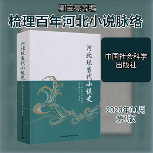 河北现当代小说史 郭宝亮 等 编 文学理论/文学评论与研究文学 新华书店正版图书籍 中国社会科学出版社