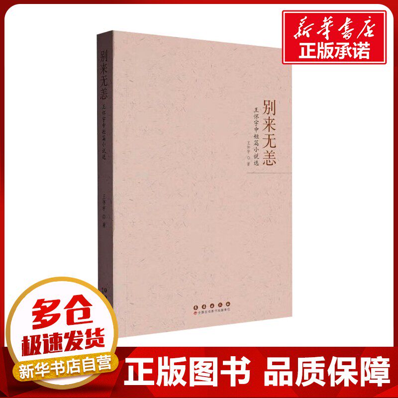 别来无恙 王怀宇中短篇小说选 王怀宇 著 短篇小说集/故事集文学 新华书店正版图书籍 长春出版社