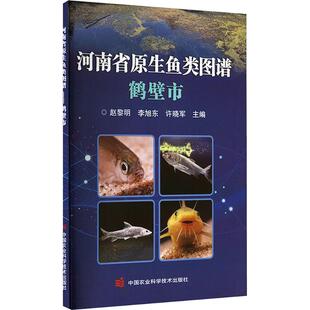 河南省原生鱼类图谱 鹤壁市 赵黎明,李旭东,许晓军 编 畜牧/养殖专业科技 新华书店正版图书籍 中国农业科学技术出版社