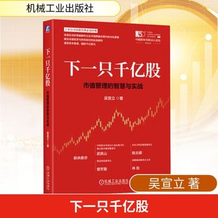 下一只千亿股:市值管理的智慧与实战 吴宣立 著 著 金融投资经管、励志 新华书店正版图书籍 机械工业出版社