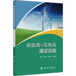 新能源与发电站建设实践 金怀锋,马俊鹏,王曦明 编 电工技术/家电维修专业科技 新华书店正版图书籍 中国石化出版社
