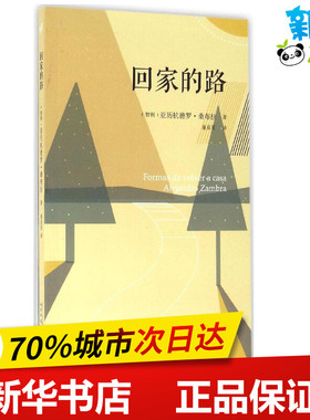 回家的路 (智)亚历杭德罗·桑布拉(Alejandro Zambra) 著；童亚星 译 外国小说文学 新华书店正版图书籍 人民文学出版社
