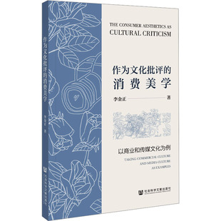 李金正 著 社会科学文献出版 消费美学 社 图书籍 以商业和传媒文化为例 新华书店正版 作为文化批评 文化理论社科