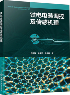 铁电电畴调控及传感机理 乔骁骏,耿文平,丑修建 著 化学工业专业科技 新华书店正版图书籍 化学工业出版社