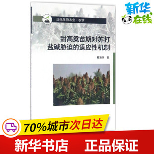 甜高粱苗期对苏打盐碱胁迫的适应性机制 戴凌燕 著 著 农业基础科学专业科技 新华书店正版图书籍 科学出版社