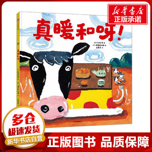 真暖和呀! (日)川又宁宁 著 吕灵芝 译 (日)长谷川义史 绘 绘本/图画书/少儿动漫书少儿 新华书店正版图书籍 中信出版社