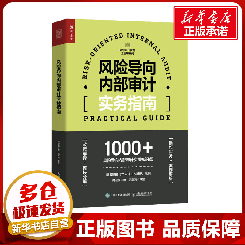 风险导向内部审计实务指南