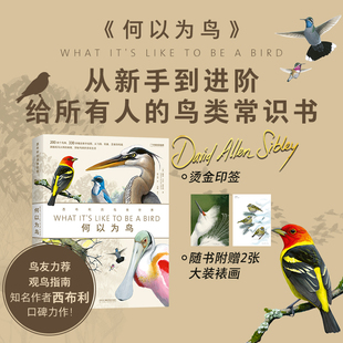 西布利 200余个常见鸟种或类群介绍鸟类生活 鸟类世界 当代观鸟画鸟大师西布利画册 识鸟辨鸟指南 戴维·艾伦·西布利 何以为鸟