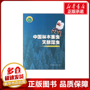 中国林木害虫天敌昆虫  何俊华,陈学新 编 建筑/水利（新）专业科技 新华书店正版图书籍 中国林业出版社