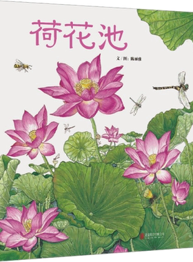 荷花池 陈丽雅 文图 著 绘本/图画书/少儿动漫书少儿 新华书店正版图书籍 北京联合出版公司