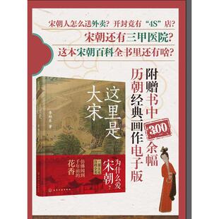 这里是大宋 李旭东 著 历史知识读物社科 新华书店正版图书籍 化学工业出版社