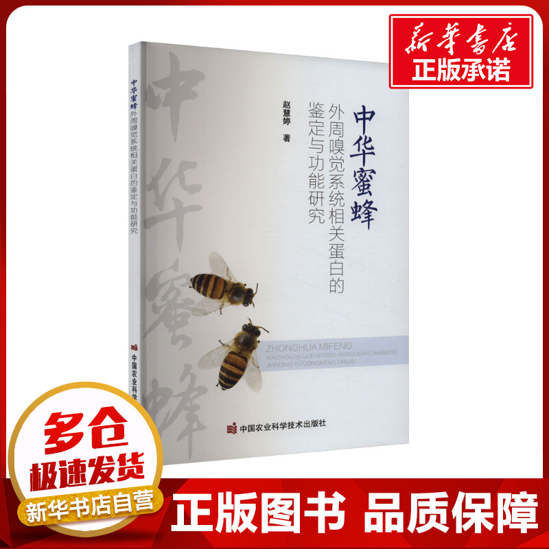 中华蜜蜂外周嗅觉系统相关蛋白的鉴定与功能研究 赵慧婷 著 畜牧/养殖专业科技 新华书店正版图书籍 中国农业科学技术出版社